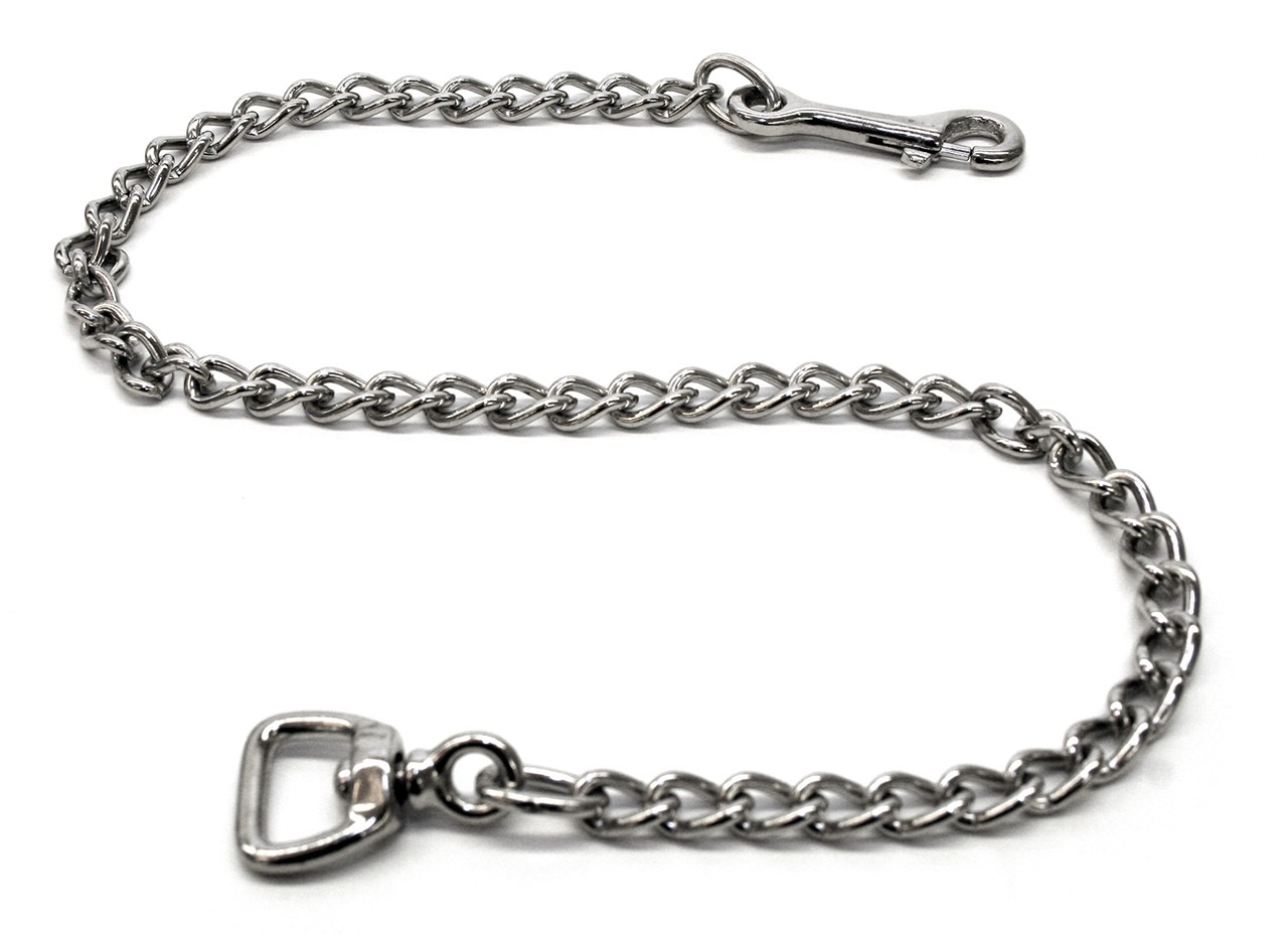 Carabiner with chain and swivel